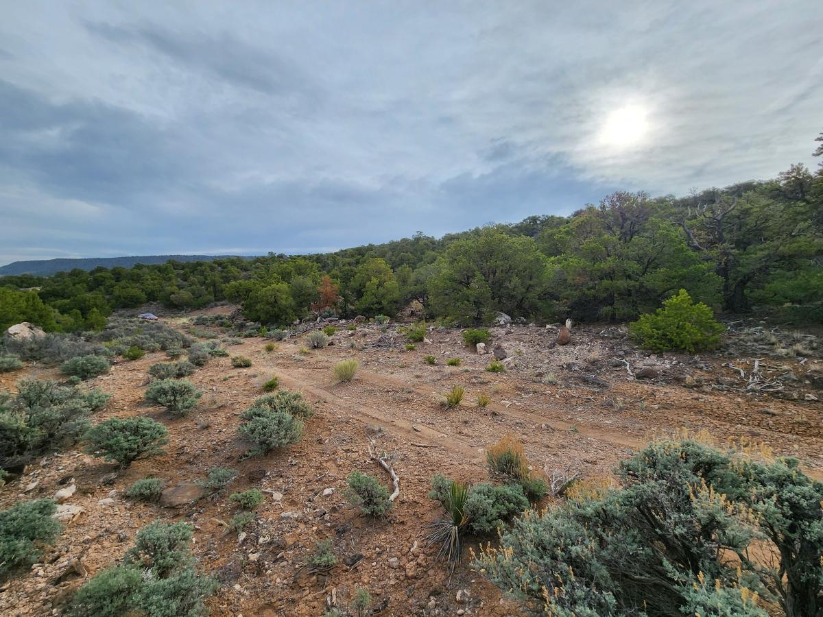 1.15 Acres for Sale in San Luis, Colorado