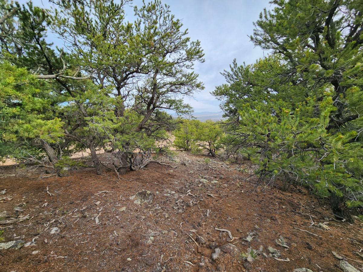 1.15 Acres for Sale in San Luis, Colorado