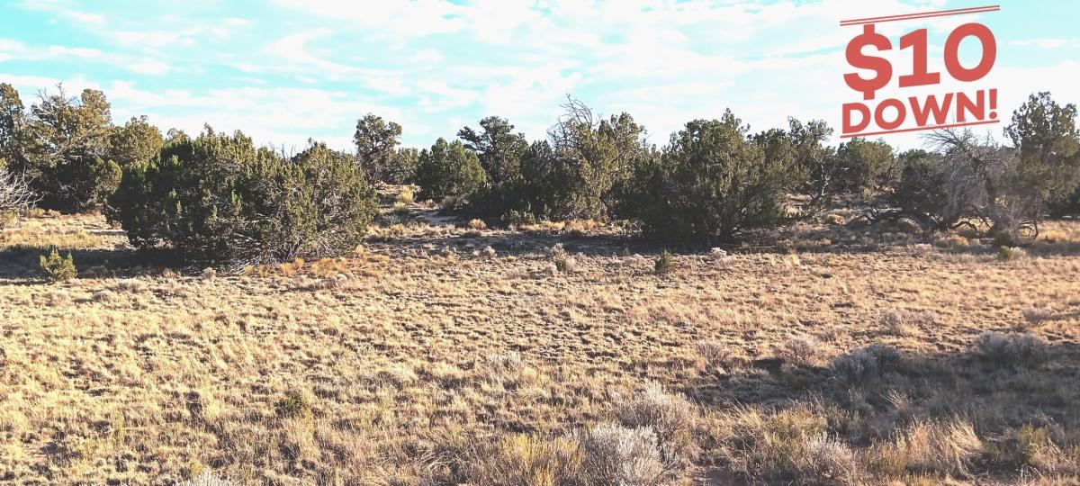 2.47 Acres for Sale in Chambers, Arizona