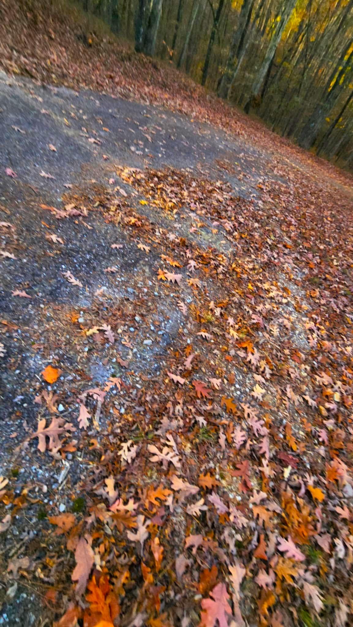 0.3 Acres for Sale in Hot Springs, Arkansas