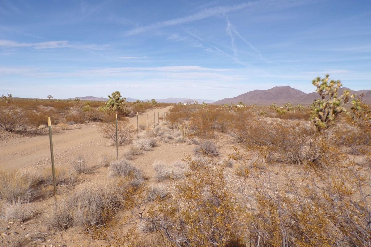 1.02 Acres for Sale in White Hills, Arizona