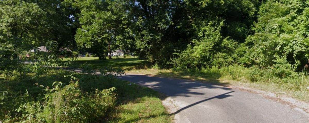 0.31 Acres for Sale in Cherokee Village, Arkansas
