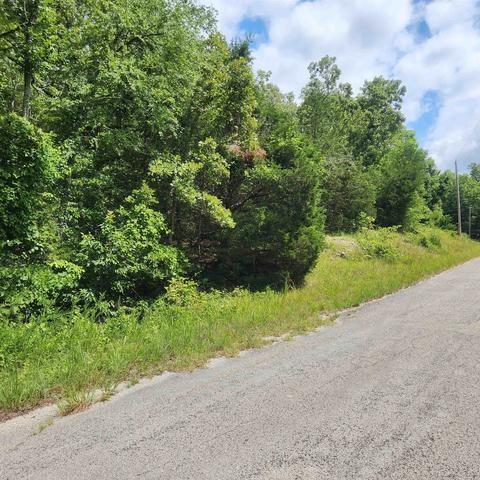 0.31 Acres for Sale in Cherokee Village, Arkansas