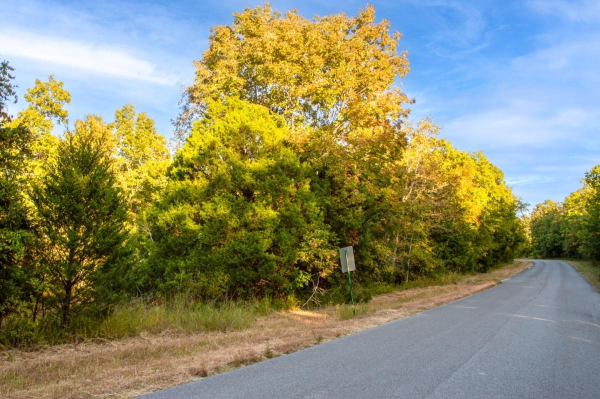 0.31 Acres for Sale in Cherokee Village, Arkansas