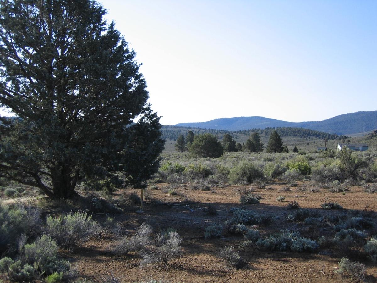 3 Acres for Sale in Beatty, Oregon