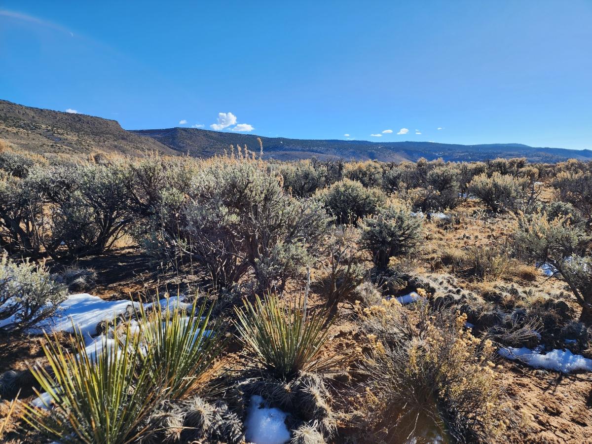 2.53 Acres for Sale in San Luis, Colorado
