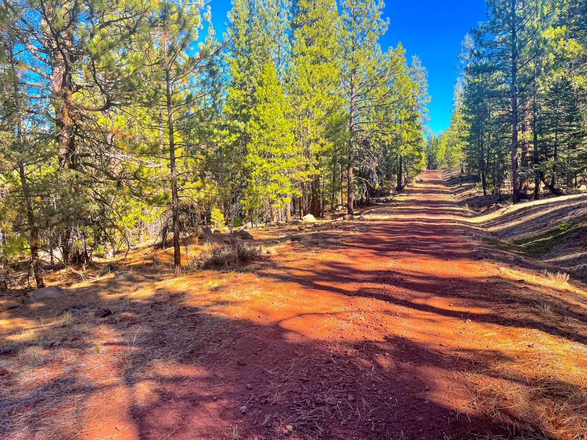 1.02 Acres for Sale in Alturas, California
