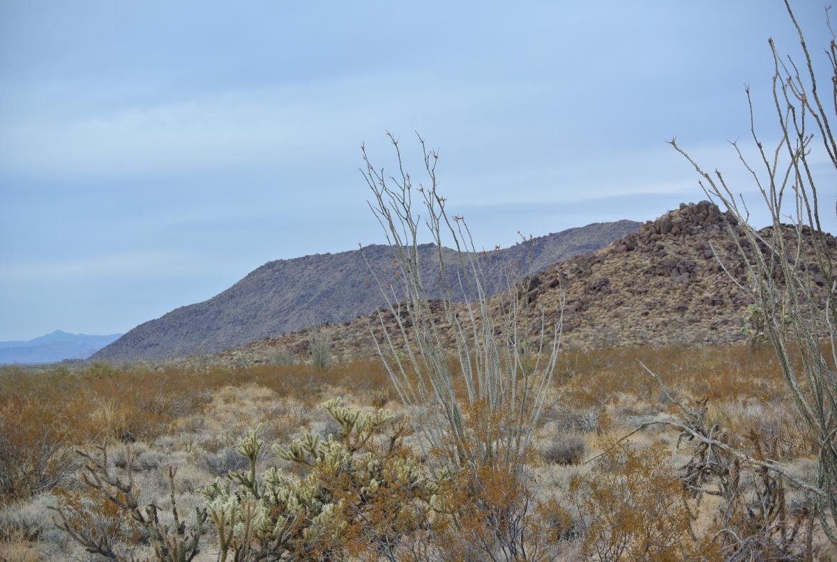 2.34 Acres for Sale in Yucca, Arizona