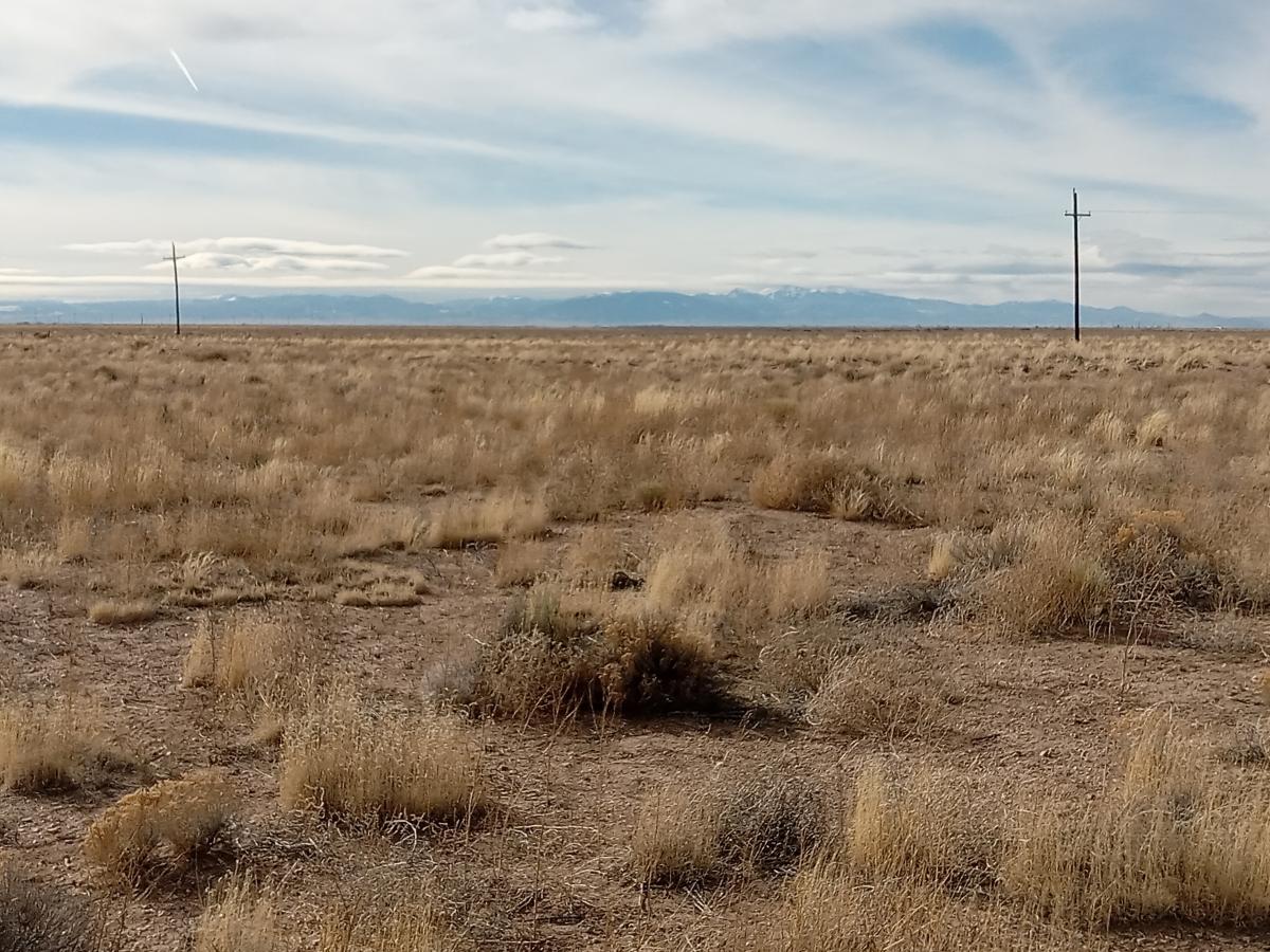 5.1 Acres for Sale in Blanca, Colorado