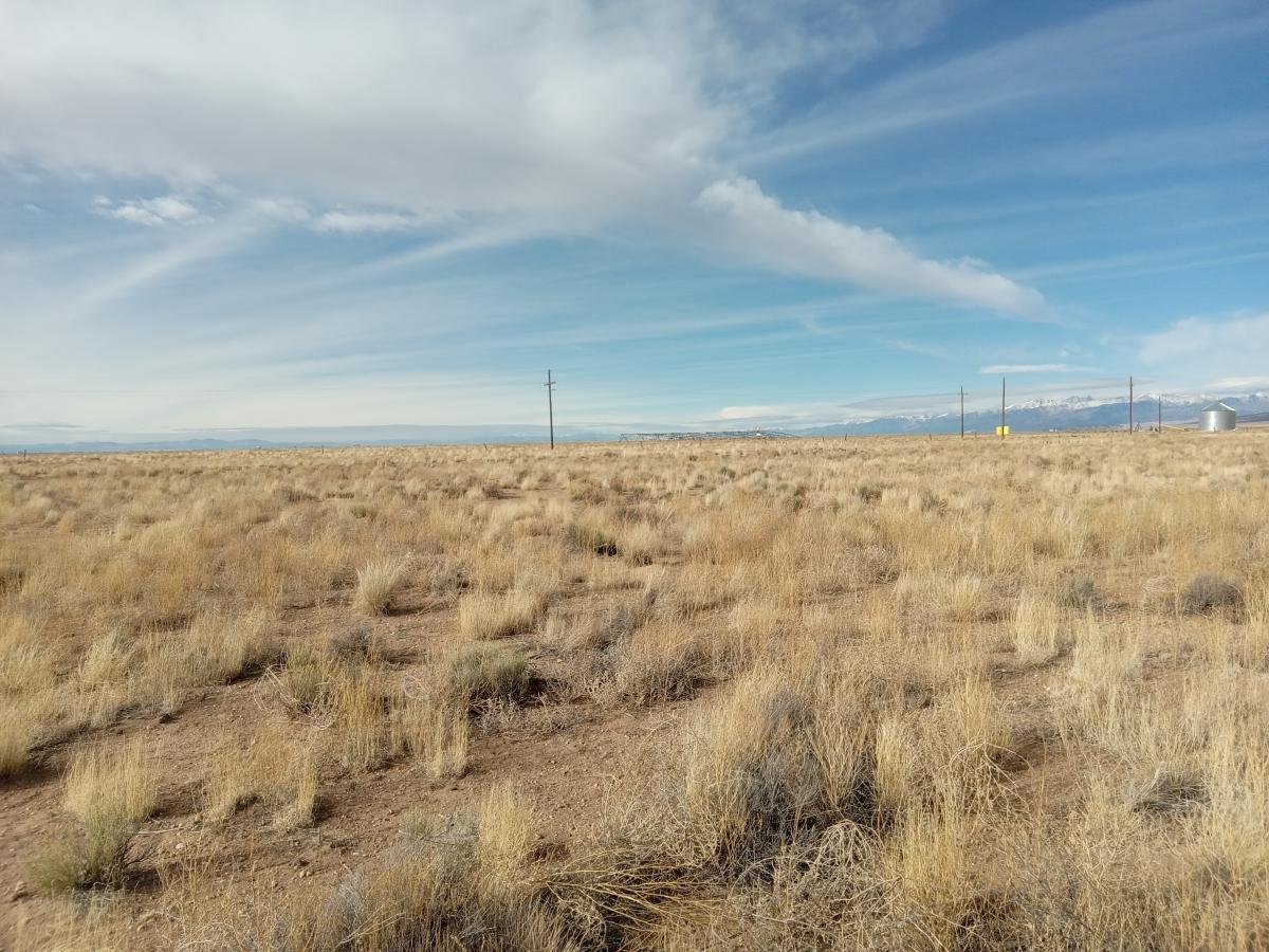5.1 Acres for Sale in Blanca, Colorado