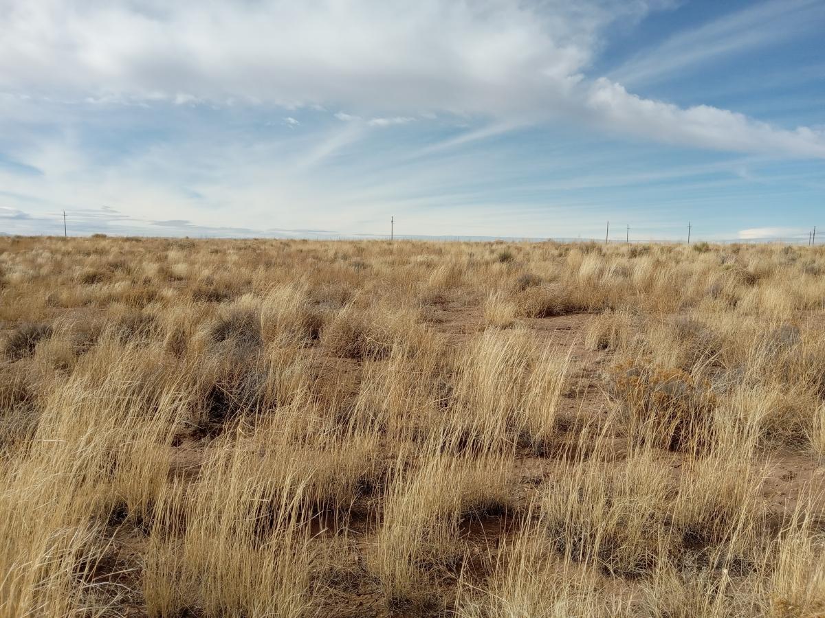 5.1 Acres for Sale in Blanca, Colorado