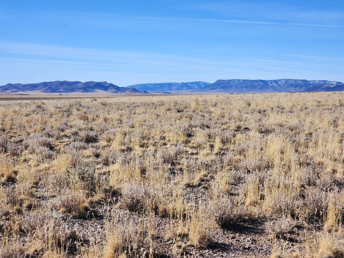 5.03 Acres for Sale in Blanca, Colorado