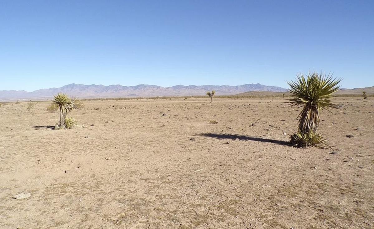 5 Acres for Sale in Dolan Springs, Arizona