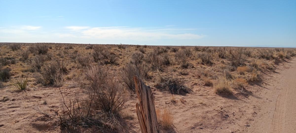 40 Acres for Sale in Chambers, Arizona