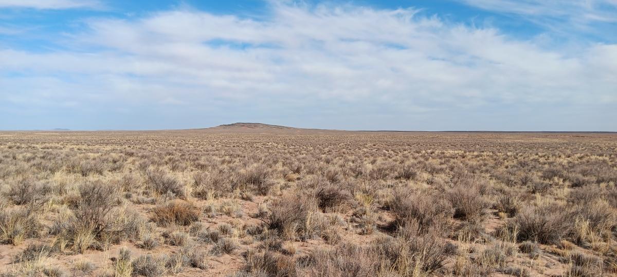 40 Acres for Sale in Chambers, Arizona