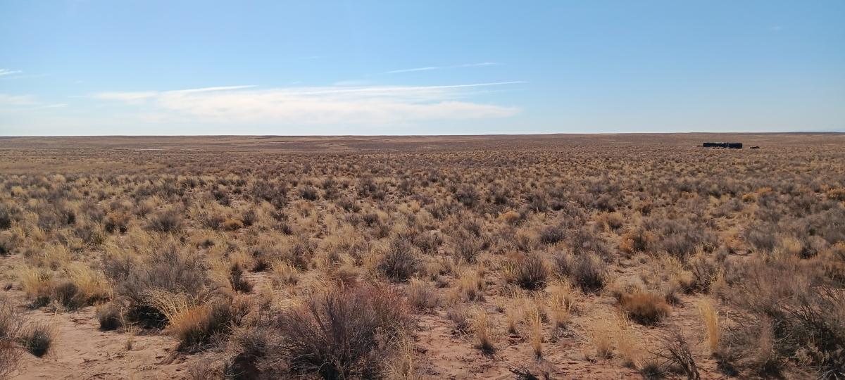 40 Acres for Sale in Chambers, Arizona