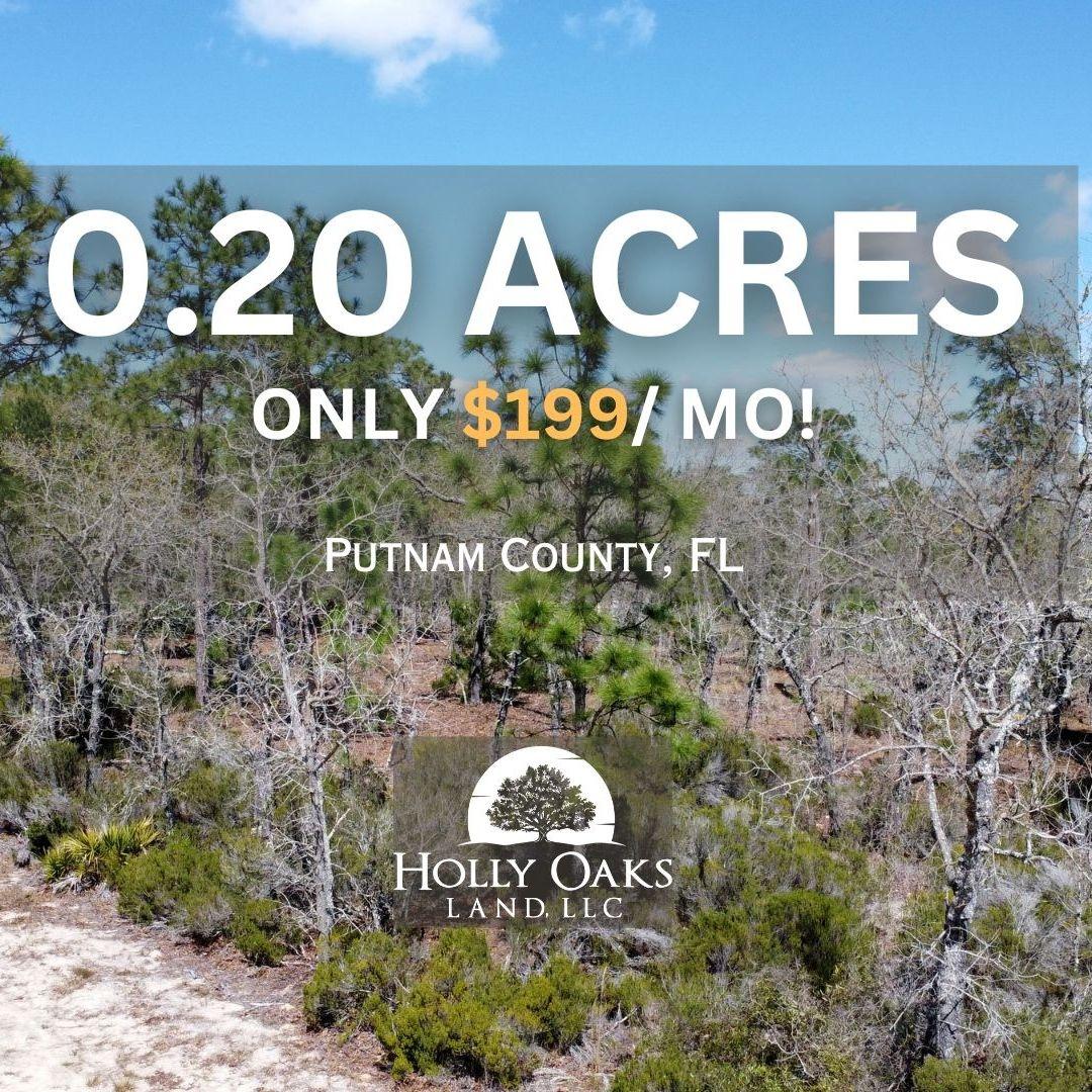 0.2 Acres for Sale in Interlachen, Florida