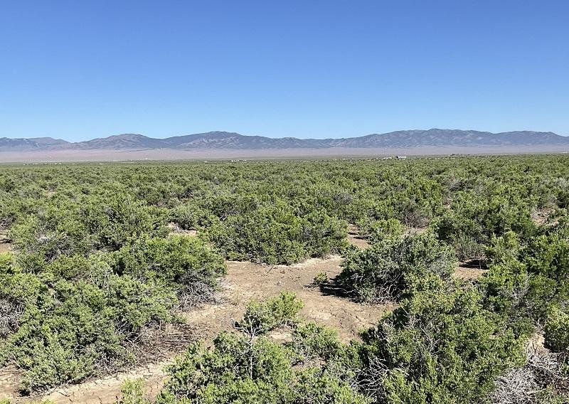 10 Acres for Sale in Montello, Nevada