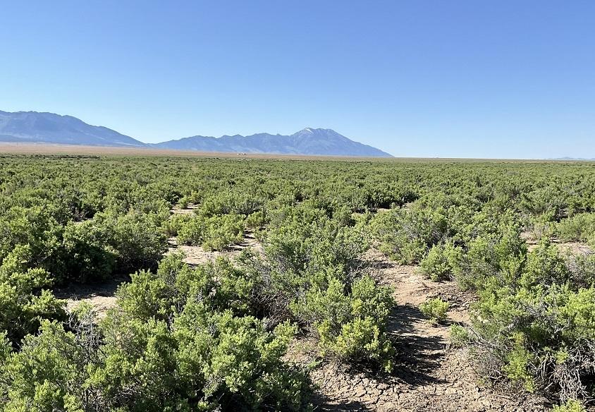 10 Acres for Sale in Montello, Nevada