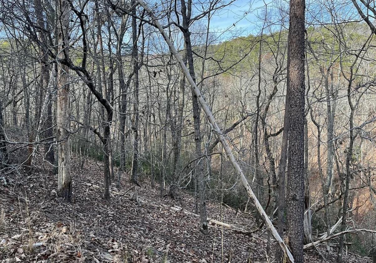 0.43 Acres for Sale in Waleska, Georgia