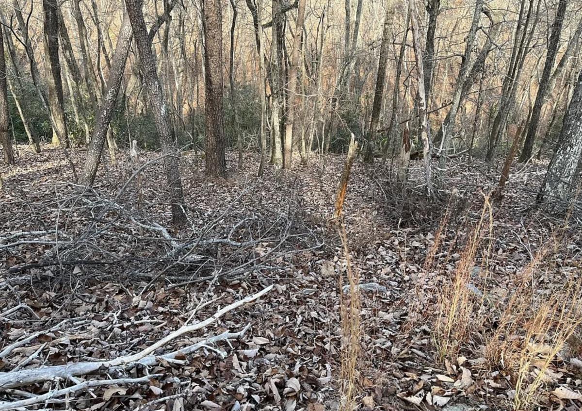 0.43 Acres for Sale in Waleska, Georgia