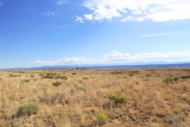 5.4 Acres for Sale in Mesita, Colorado