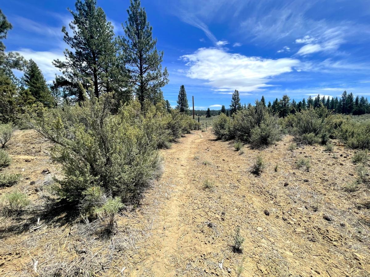 9.6 Acres for Sale in Sprague River, Oregon