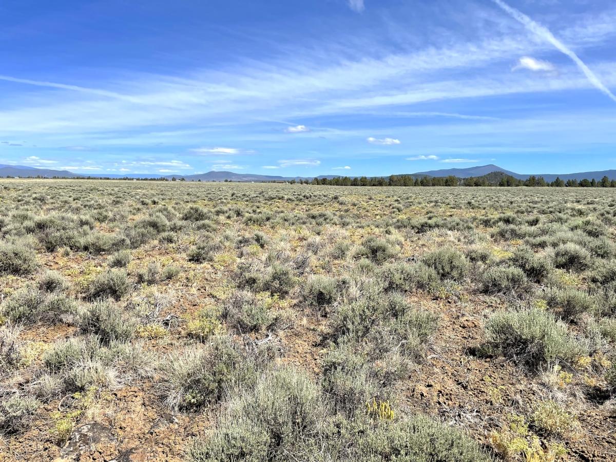 5 Acres for Sale in Sprague River, Oregon