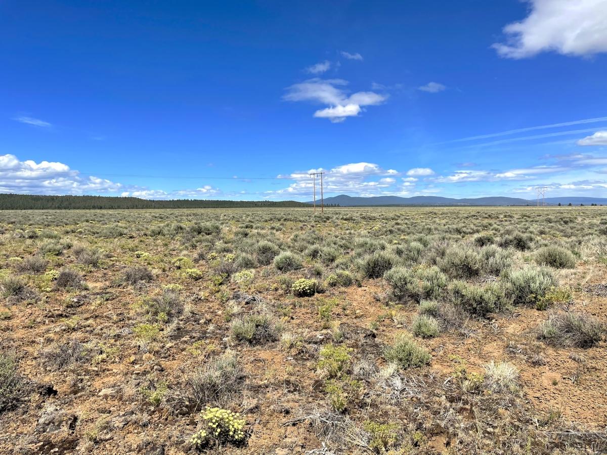 5 Acres for Sale in Sprague River, Oregon