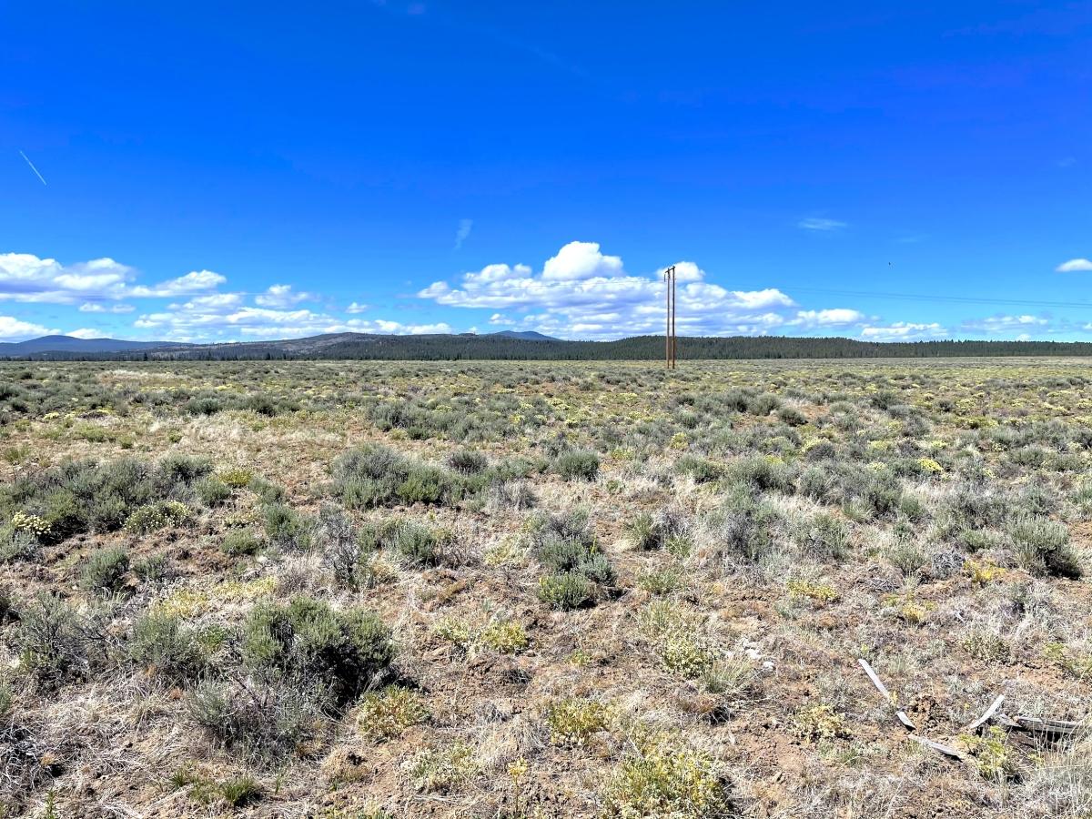5 Acres for Sale in Sprague River, Oregon