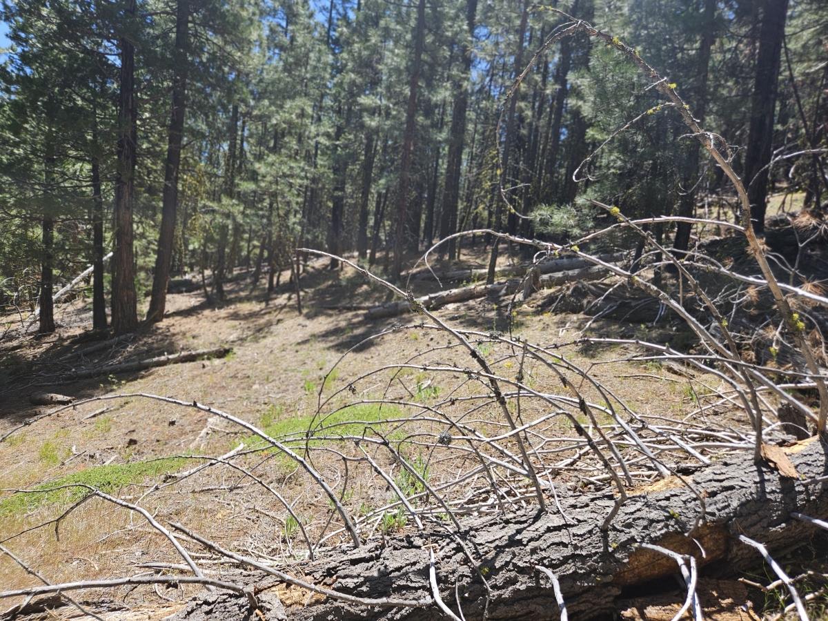 1.19 Acres for Sale in Alturas, California