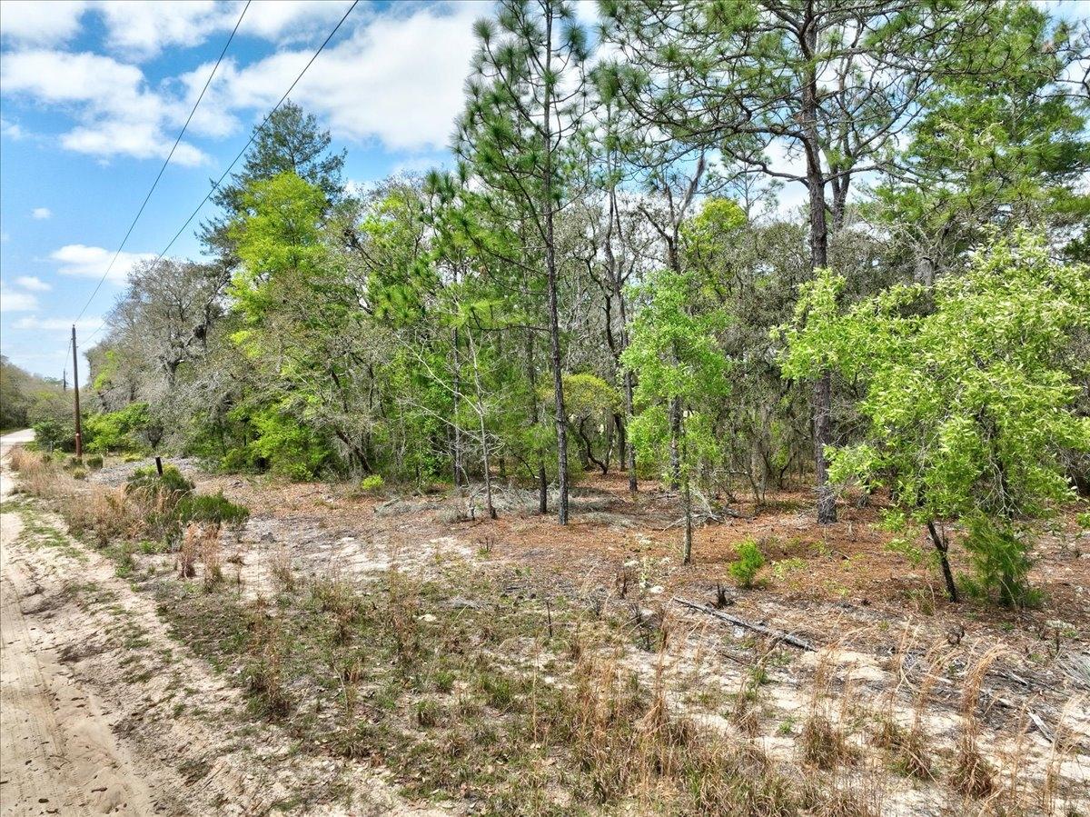 0.4 Acres for Sale in Interlachen, Florida