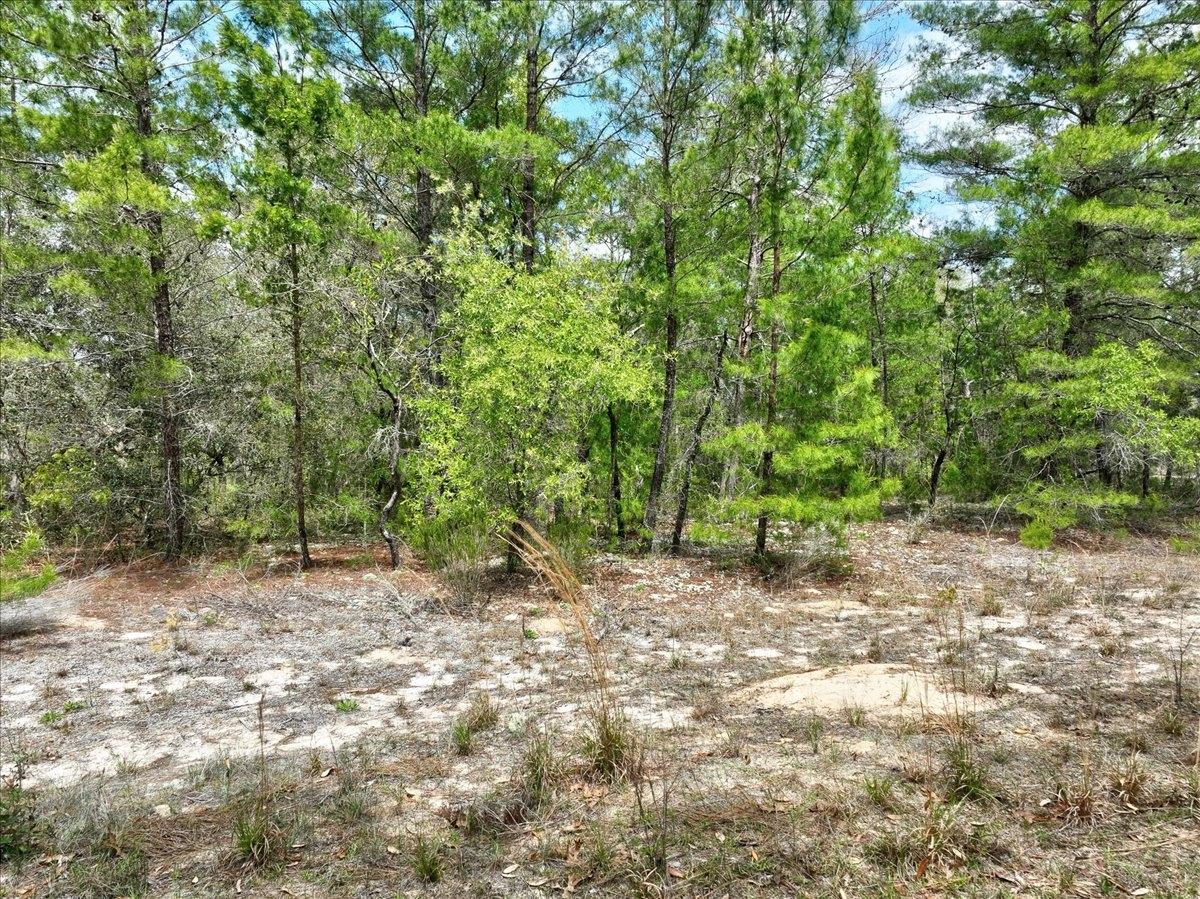 0.4 Acres for Sale in Interlachen, Florida