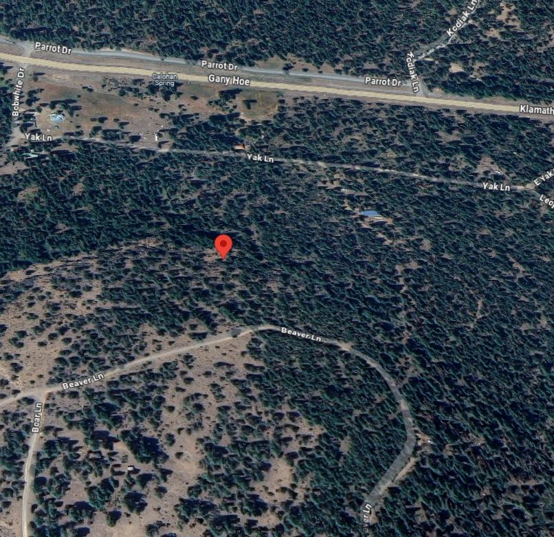 3.39 Acres for Sale in Hildebrand, Oregon