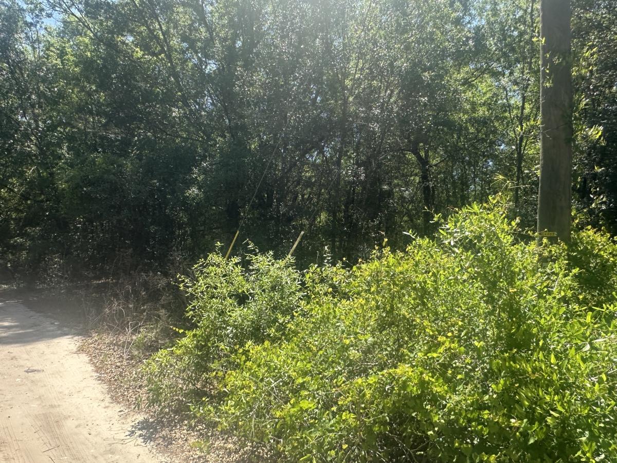 0.17 Acres for Sale in Ocala, Florida