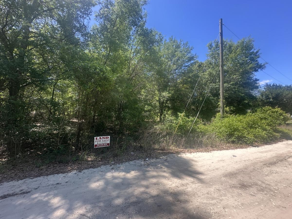 0.17 Acres for Sale in Ocala, Florida