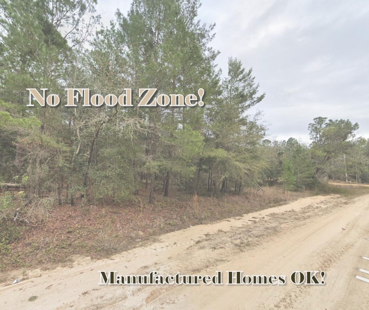 0.22 Acres for Sale in Interlachen, Florida