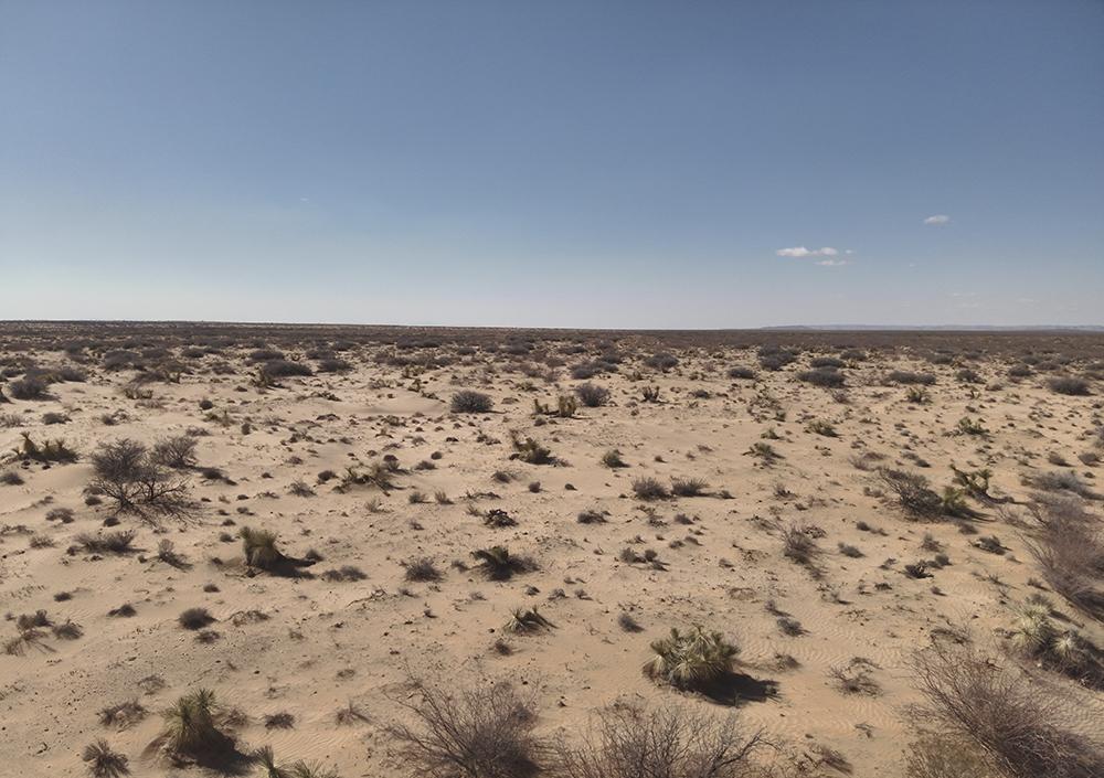 40.53 Acres for Sale in Fort Hancock, Texas