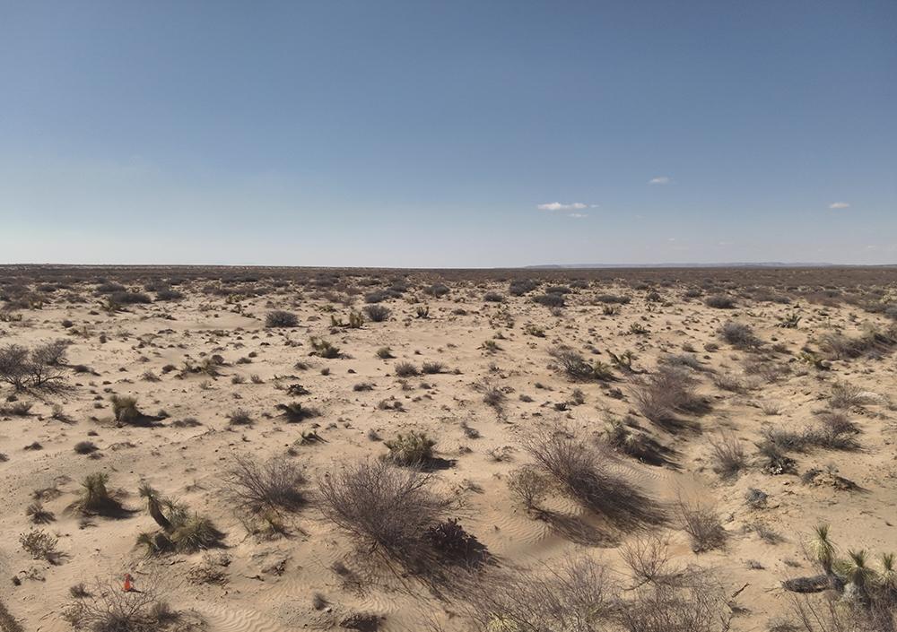 40.53 Acres for Sale in Fort Hancock, Texas