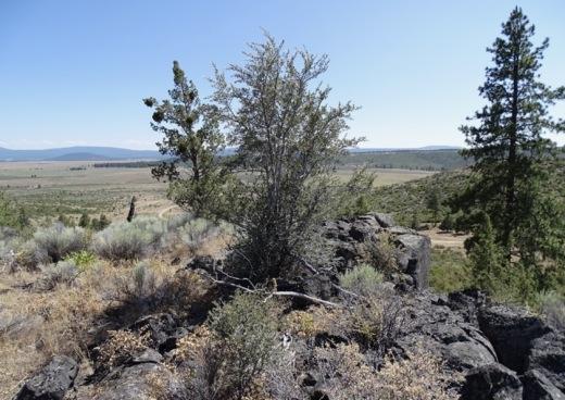 4.2 Acres for Sale in Sprague River, Oregon