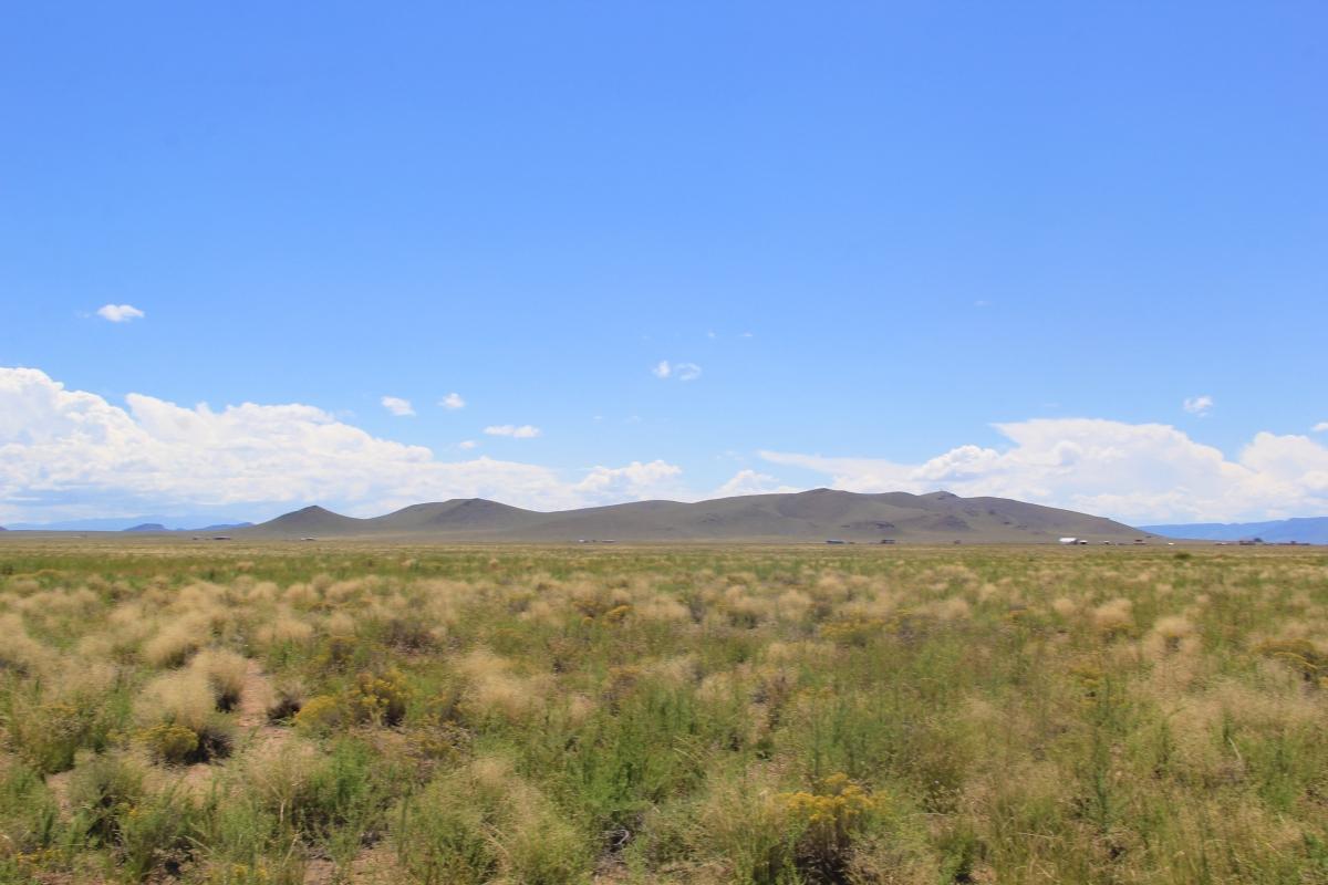 5.5 Acres for Sale in Blanca, Colorado