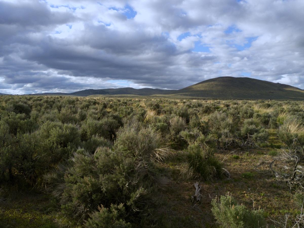 1.03 Acres for Sale in Ryndon, Nevada