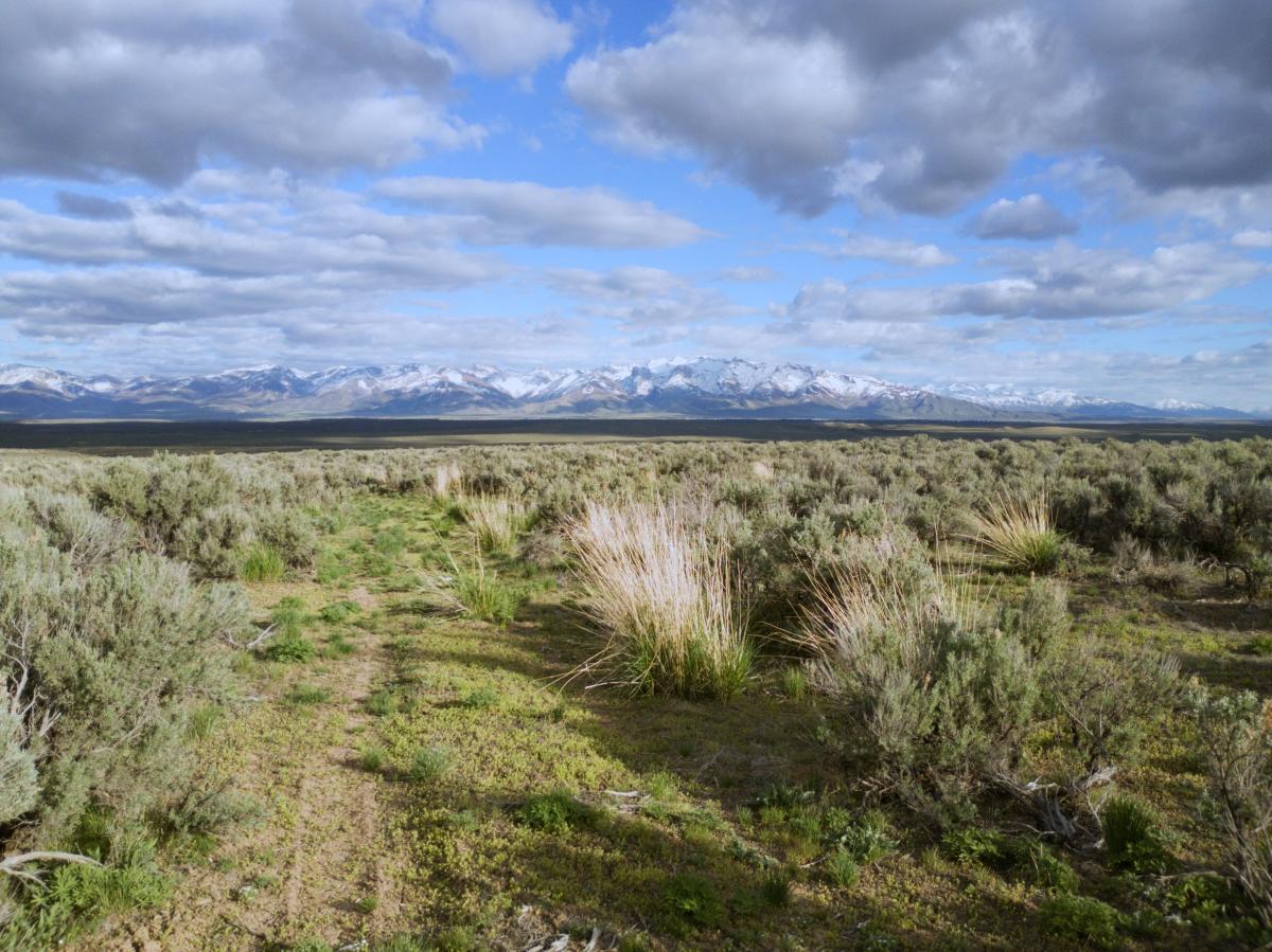 1.03 Acres for Sale in Ryndon, Nevada