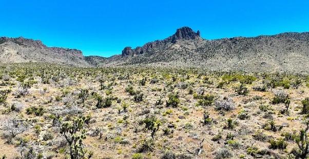 5 Acres for Sale in Dolan Springs, Arizona