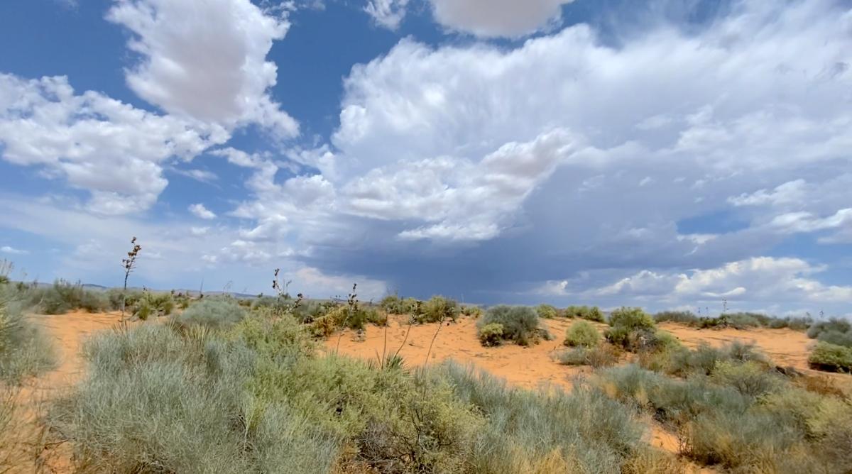 1 Acres for Sale in Agua Dulce, Texas