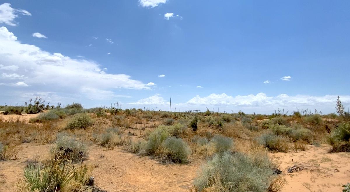 1 Acres for Sale in Agua Dulce, Texas