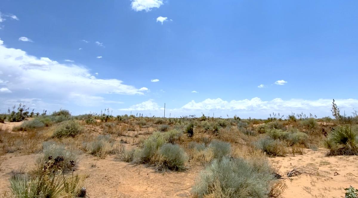 1 Acres for Sale in Agua Dulce, Texas