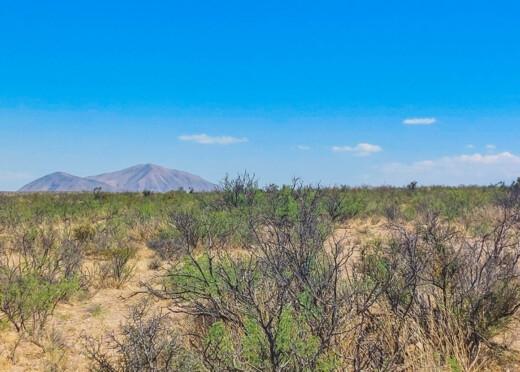 27 Acres for Sale in Salt Flat, Texas