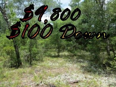 0.25 Acres for Sale in Chipley, Florida