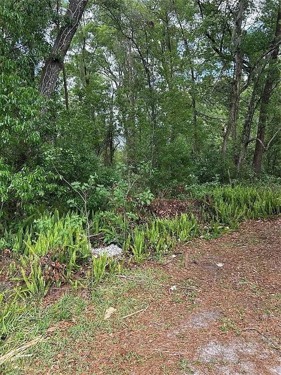 4.17 Acres for Sale in DeLand, Florida